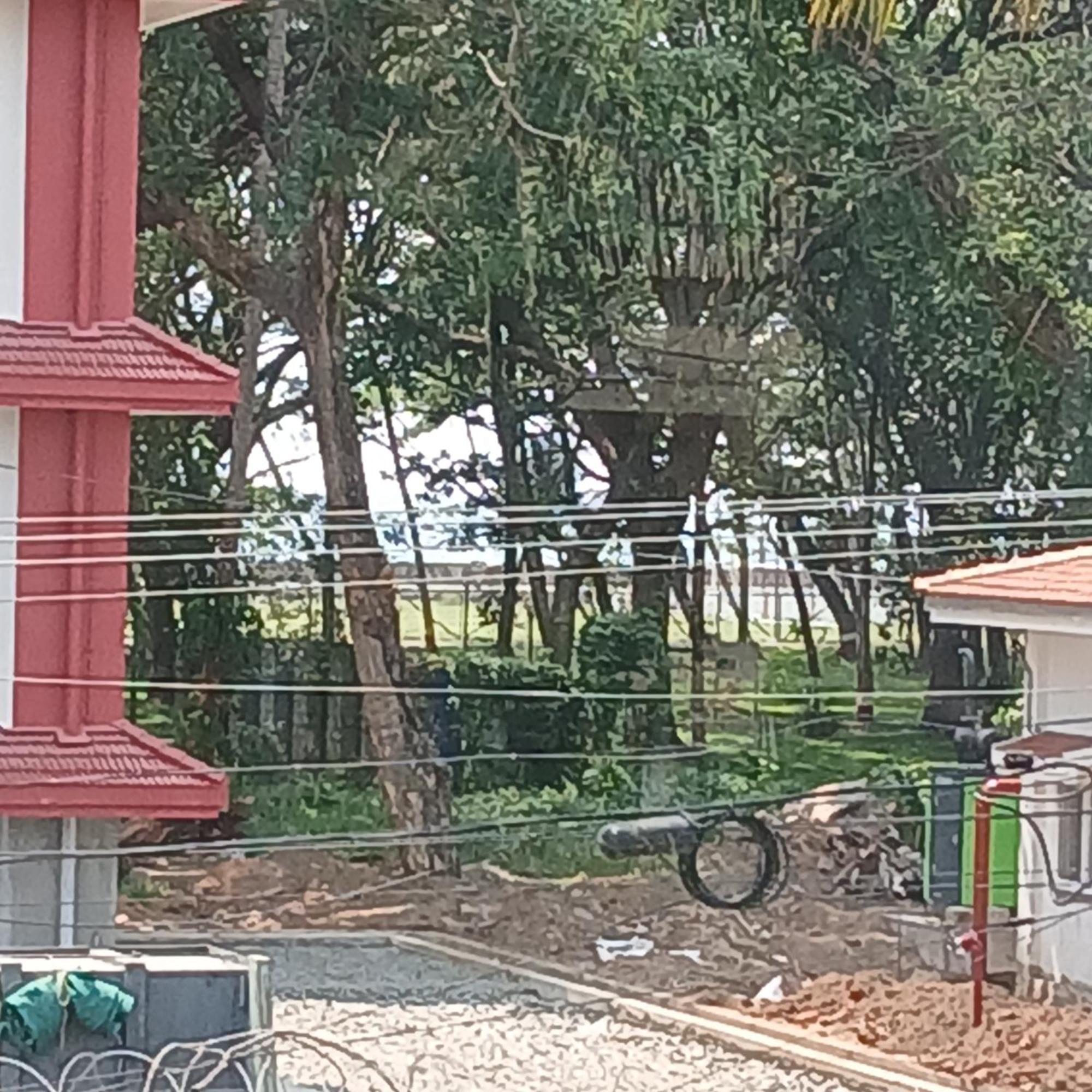 Annies Inn Homestay Kochi Exterior foto